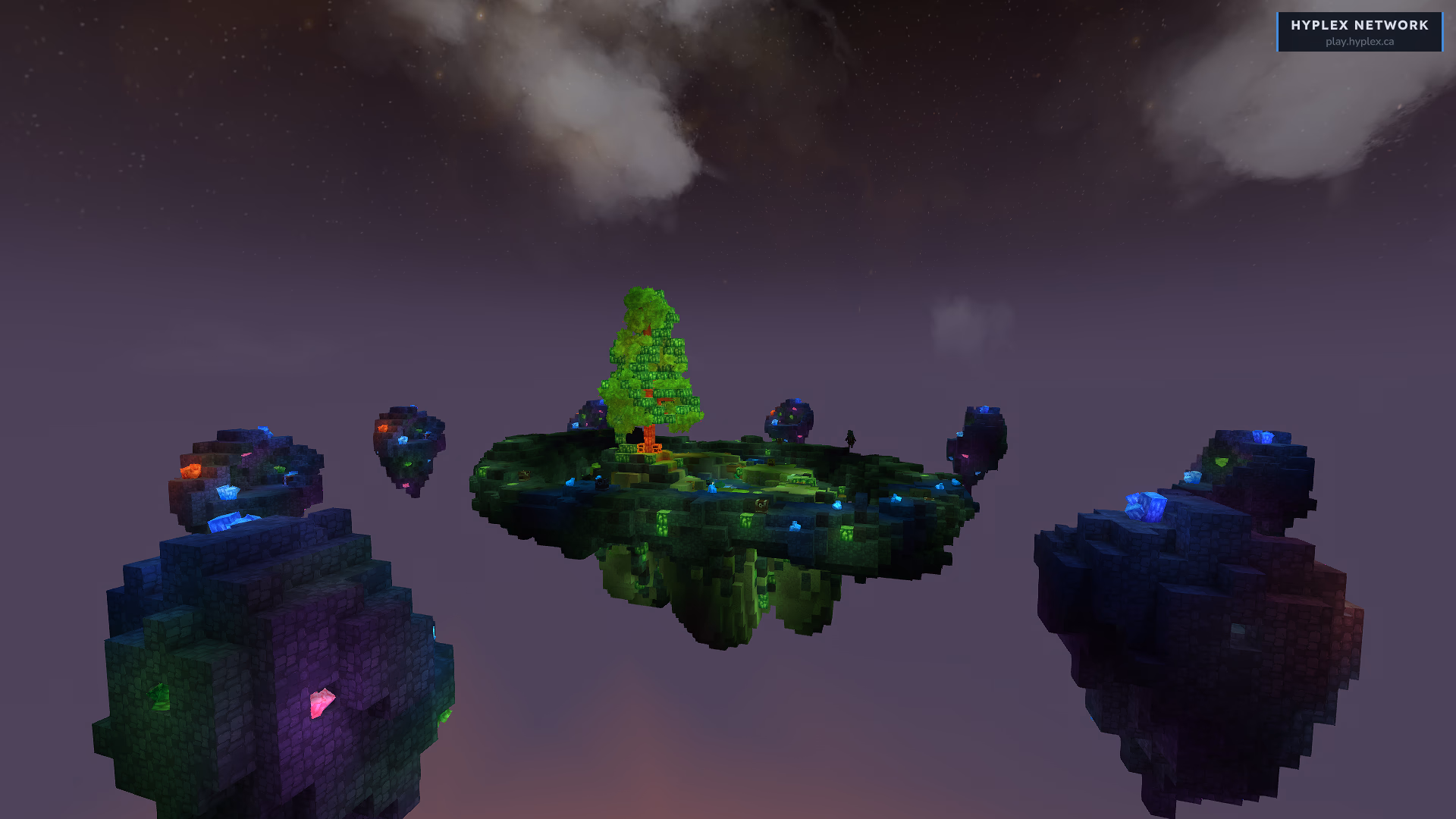 Captura del servidor