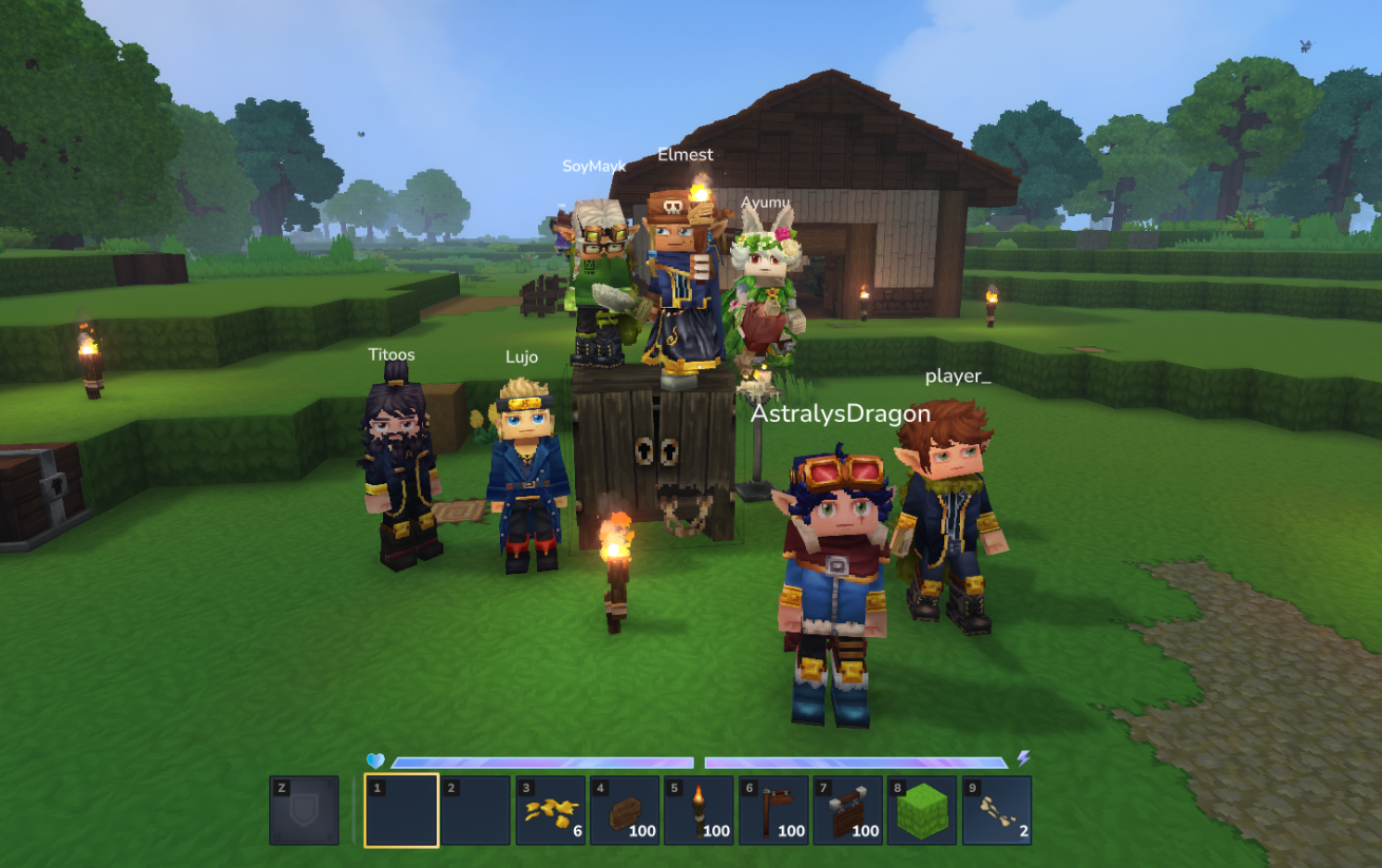 Server screenshot