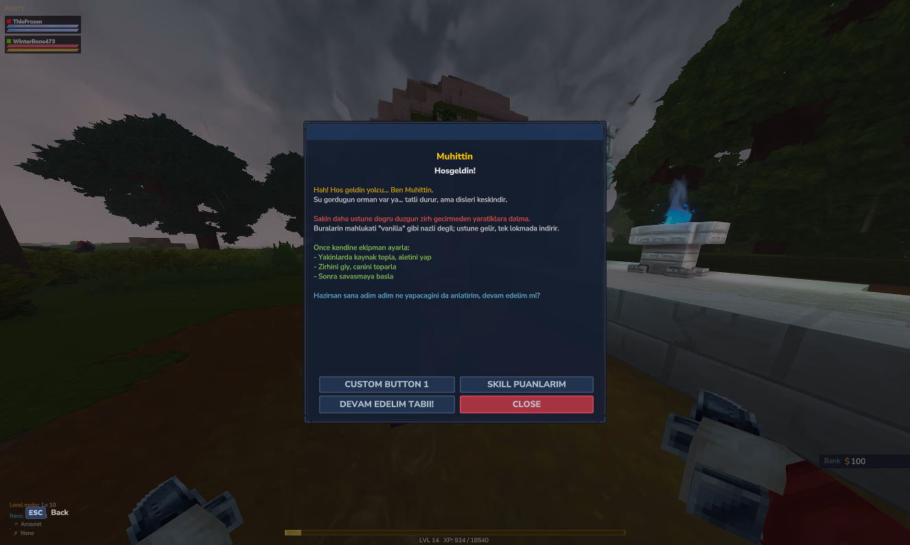 Server screenshot