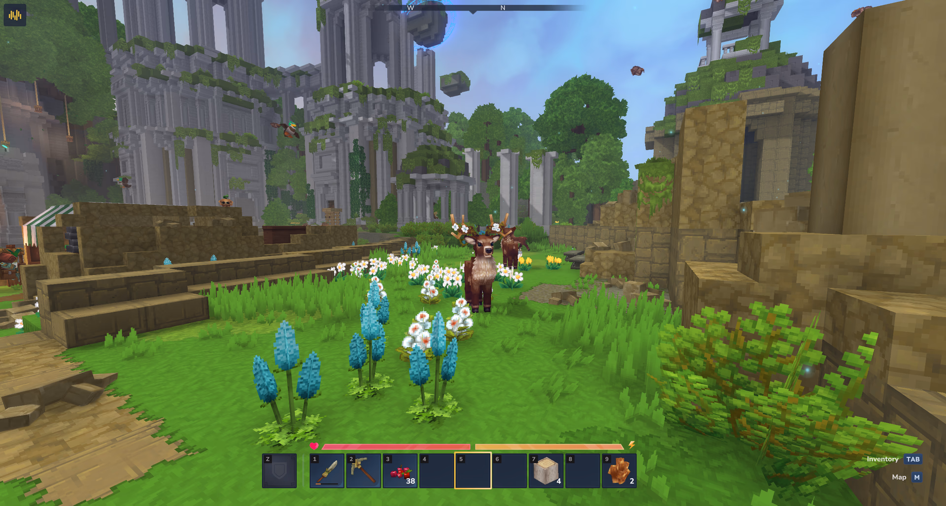 Captura del servidor